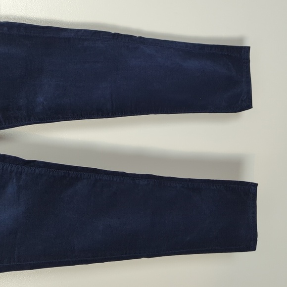 AG Adriano Goldschmied Anthropologie Stevie Ankle Pant - Picture 3 of 14